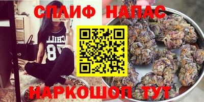 тгк Кингисепп