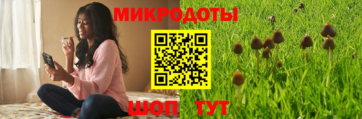 Чебаркуль  Галлюциногенные грибы Cubensis  Вход с VPN 
